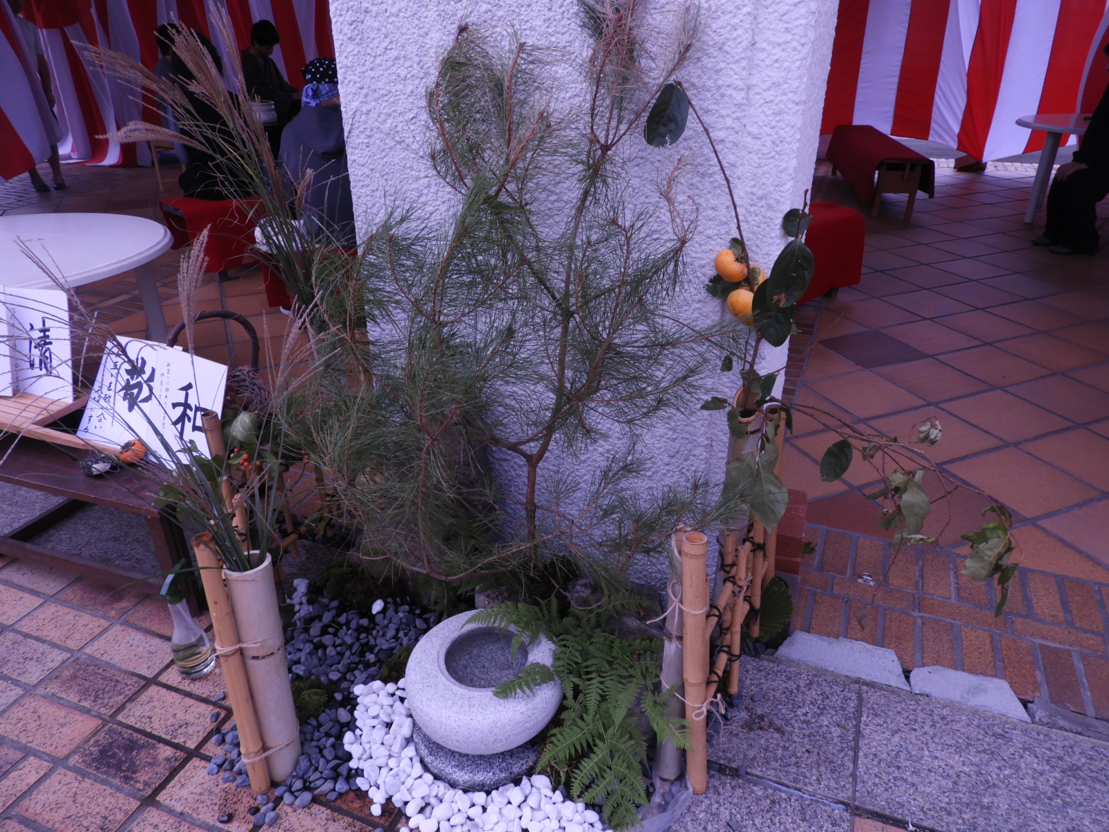 DSCN2177 (1)